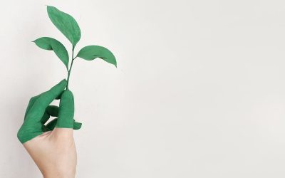 Fotomatón y sostenibilidad